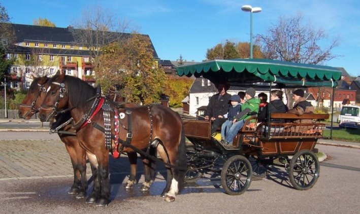 Pferdekutsche, Ponykutsche buy mit Dach