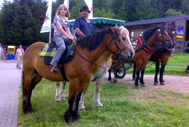 Kinderreiten an der Sommerrodelbahn Altenberg